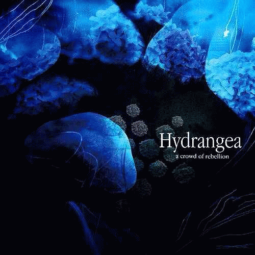 A Crowd Of Rebellion : Hydrangea